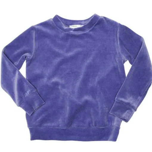 Ani Velour Top
