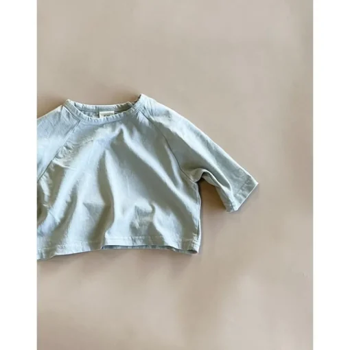 Ash Boxy Tee | Grey