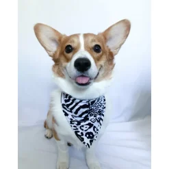 Bandana | Animal Print