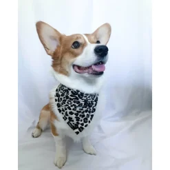 Bandana | Cream Cheetah