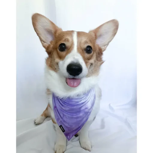 Bandana | Grape Tie Dye