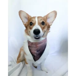 Bandana | Mauve Tie Dye