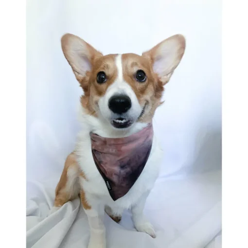 Bandana | Mauve Tie Dye