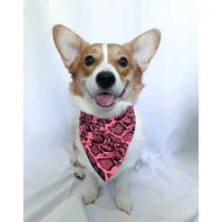 Bandana | Pink Snake