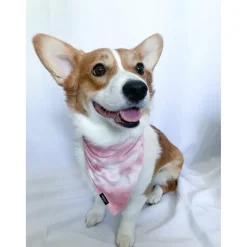 Bandana | Rose Tie Dye