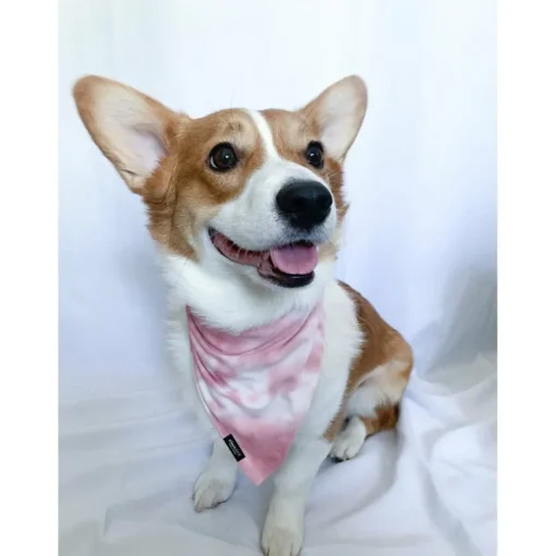 Bandana | Rose Tie Dye