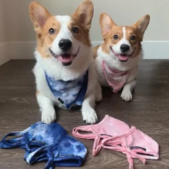 Bandana | Rose Tie Dye