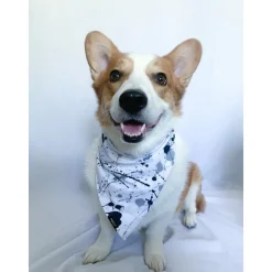 Bandana | Splatter Paint