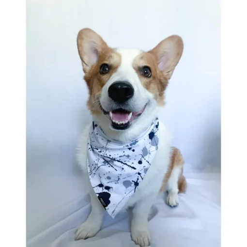 Bandana | Splatter Paint