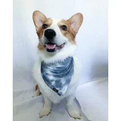 Bandana | Storm Tie Dye