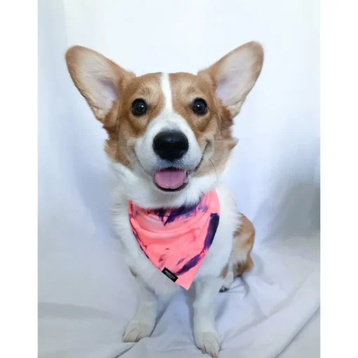 Bandana | Sunset Neon Tie Dye