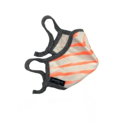 Coral Stripe | Grey