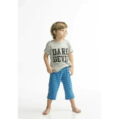 Hawk-DD