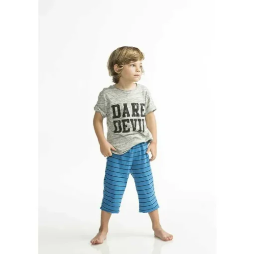 Hawk-DD