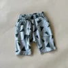 Ivan-Triangle Shorts | Cobblestone