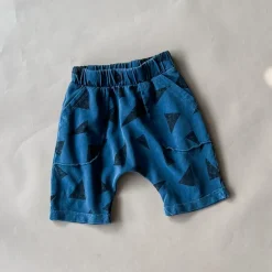 Ivan-Triangle Shorts | Navy