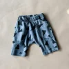 Ivan-Triangle Shorts | Steel