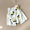 Shauna-Shapes Top