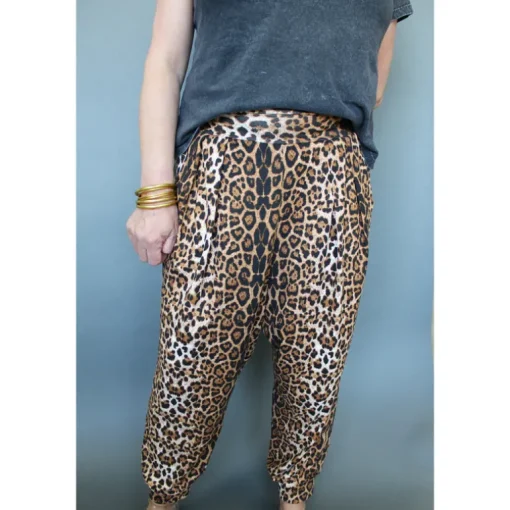 Sumaya | Cheetah | Adult