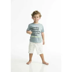 Tanner Shorts