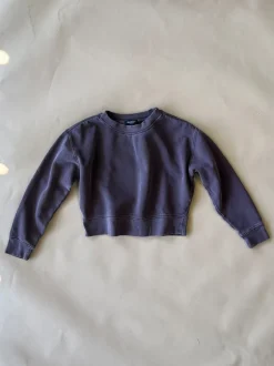 Vintage Cropped Sweatshirt | Plum | Women & Youth 10+