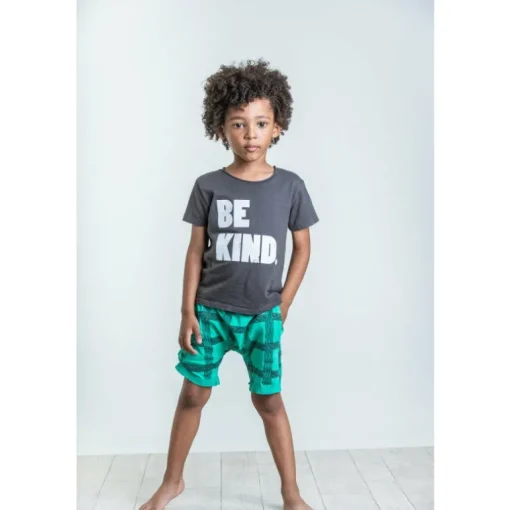 Xavier-Grid Shorts